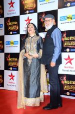 Ila Arun at Big Star Awards in Mumbai on 13th Dec 2015